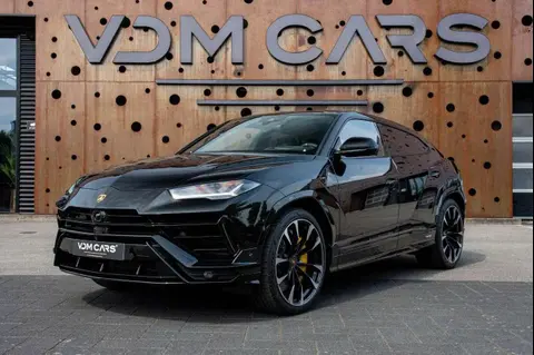 Annonce LAMBORGHINI URUS Essence 2024 d'occasion 