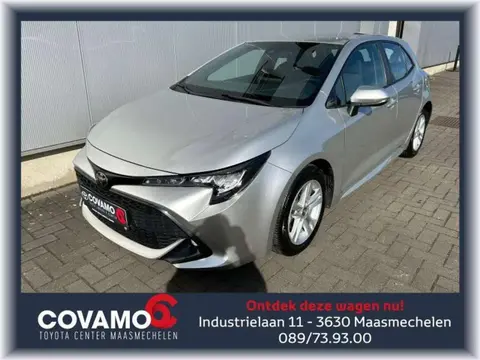 Used TOYOTA COROLLA Petrol 2019 Ad 