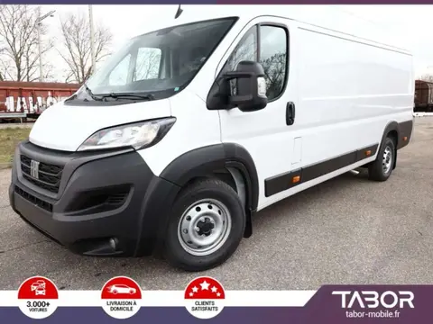 Used FIAT DUCATO Diesel 2023 Ad 