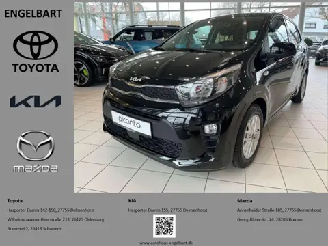 Annonce KIA PICANTO Essence 2024 d'occasion 