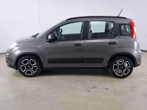 Used FIAT PANDA Hybrid 2021 Ad 