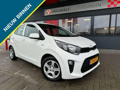 Used KIA PICANTO Petrol 2022 Ad 