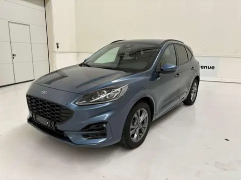 Used FORD KUGA Petrol 2023 Ad 