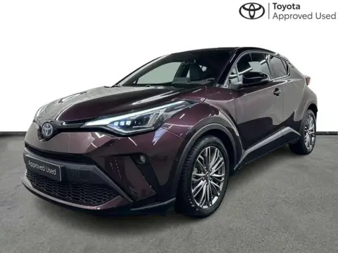 Used TOYOTA C-HR Hybrid 2023 Ad 