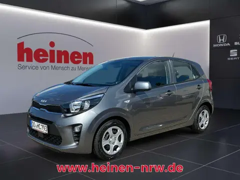 Annonce KIA PICANTO Essence 2024 d'occasion 