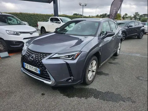 Used LEXUS UX Hybrid 2021 Ad 