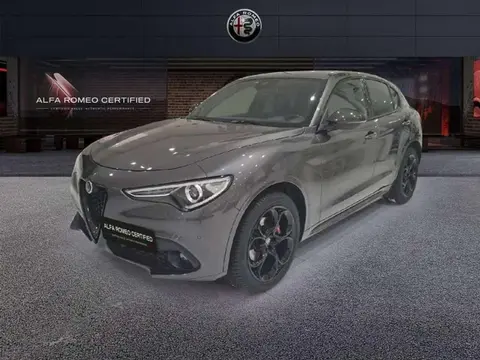 Annonce ALFA ROMEO STELVIO Diesel 2020 d'occasion 