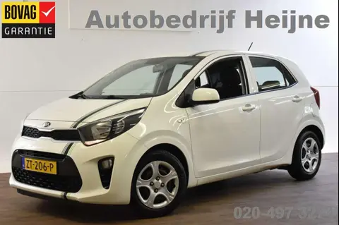 Annonce KIA PICANTO Essence 2019 d'occasion 