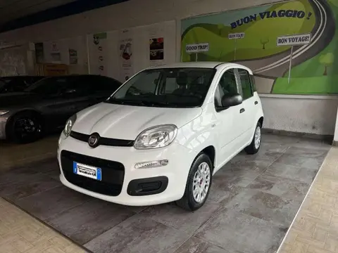 Used FIAT PANDA Petrol 2018 Ad 