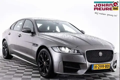 Used JAGUAR XF Petrol 2020 Ad 