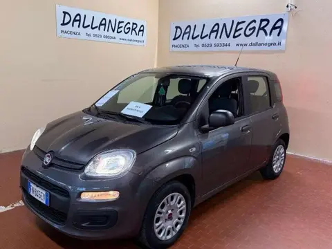 Used FIAT PANDA Petrol 2018 Ad 