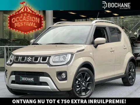 Used SUZUKI IGNIS Petrol 2024 Ad 