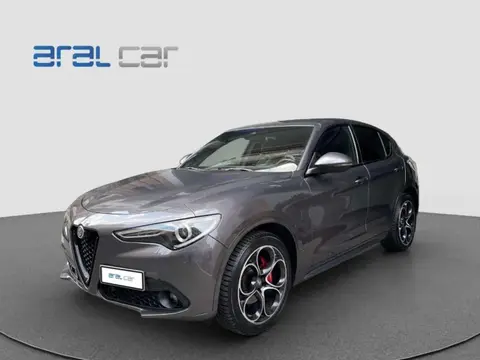 Used ALFA ROMEO STELVIO Diesel 2021 Ad 