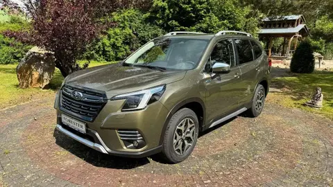 Used SUBARU FORESTER Petrol 2024 Ad 