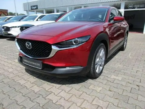 Annonce MAZDA CX-30 Essence 2020 d'occasion 