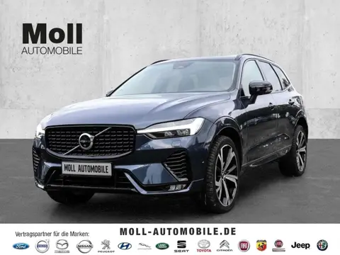 Annonce VOLVO XC60 Diesel 2023 d'occasion 