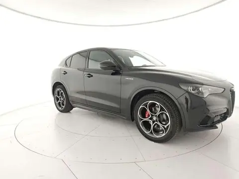 Used ALFA ROMEO STELVIO Diesel 2024 Ad 