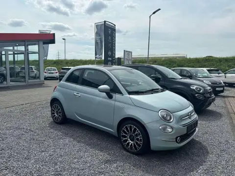 Used FIAT 500 Petrol 2023 Ad 