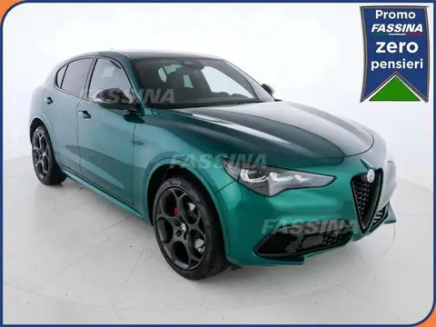 Annonce ALFA ROMEO STELVIO Diesel 2024 d'occasion 