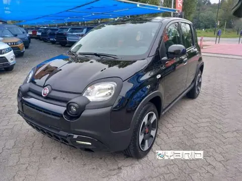 Used FIAT PANDA Hybrid 2023 Ad 