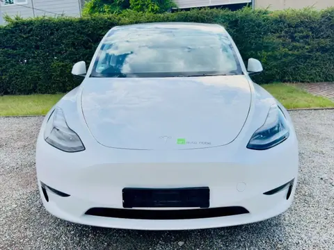 Used TESLA MODEL Y Electric 2023 Ad 