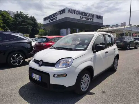 Annonce FIAT PANDA Hybride 2024 d'occasion 