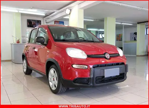 Used FIAT PANDA Hybrid 2024 Ad 