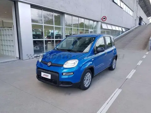 Annonce FIAT PANDA Hybride 2024 d'occasion 