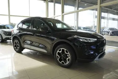 Annonce FORD KUGA Hybride 2024 d'occasion 