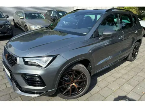 Annonce CUPRA ATECA Essence 2024 d'occasion 