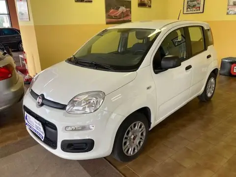 Annonce FIAT PANDA Essence 2020 d'occasion 