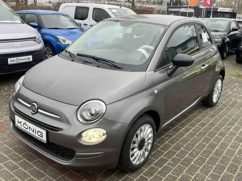 Used FIAT 500 Petrol 2023 Ad 