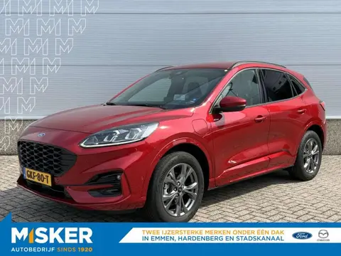 Annonce FORD KUGA Hybride 2023 d'occasion 