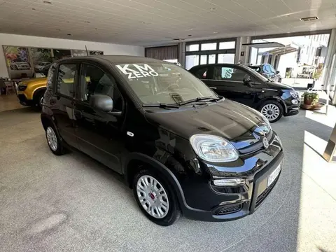 Annonce FIAT PANDA Hybride 2024 d'occasion 