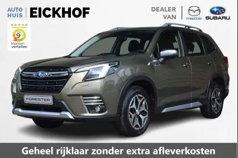 Annonce SUBARU FORESTER Hybride 2023 d'occasion 