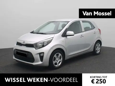 Used KIA PICANTO Petrol 2019 Ad 