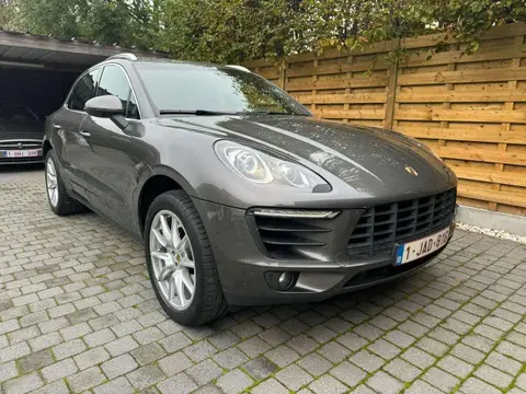 Used PORSCHE MACAN Petrol 2024 Ad 