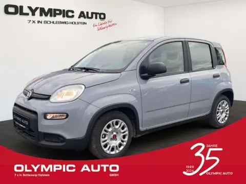 Used FIAT PANDA Petrol 2024 Ad 