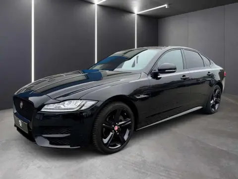 Annonce JAGUAR XF Essence 2019 d'occasion 