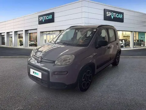 Annonce FIAT PANDA Essence 2022 d'occasion 