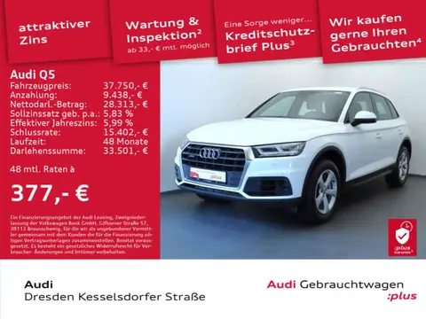 Used AUDI Q5 Diesel 2020 Ad 