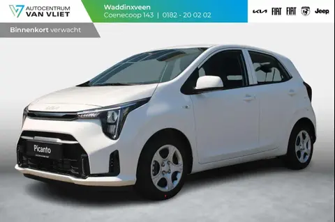 Annonce KIA PICANTO Essence 2024 d'occasion 