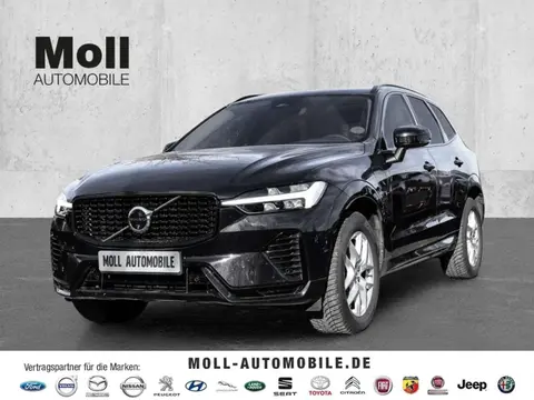 Used VOLVO XC60 Hybrid 2024 Ad 