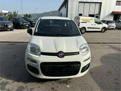 Used FIAT PANDA Diesel 2016 Ad 