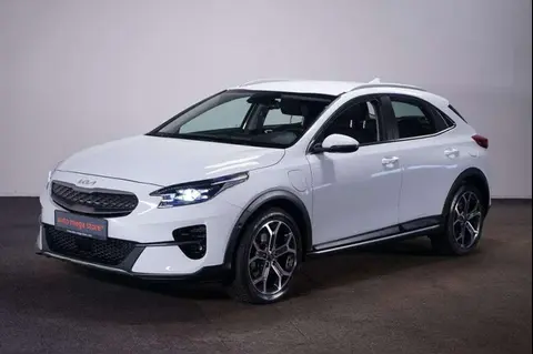 Annonce KIA XCEED Hybride 2022 d'occasion 