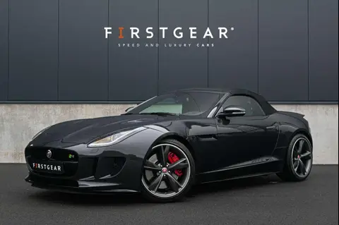 Used JAGUAR F-TYPE Petrol 2017 Ad 