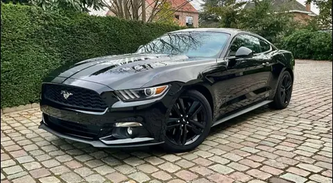 Used FORD MUSTANG Petrol 2018 Ad 