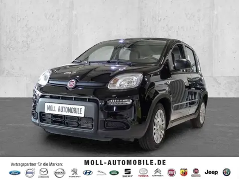 Used FIAT PANDA Petrol 2024 Ad 