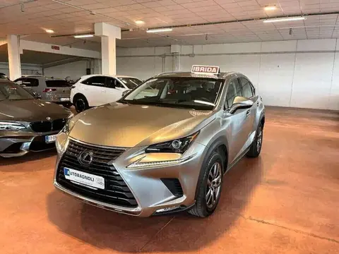 Used LEXUS NX Hybrid 2018 Ad 