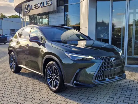 Used LEXUS NX Hybrid 2024 Ad 